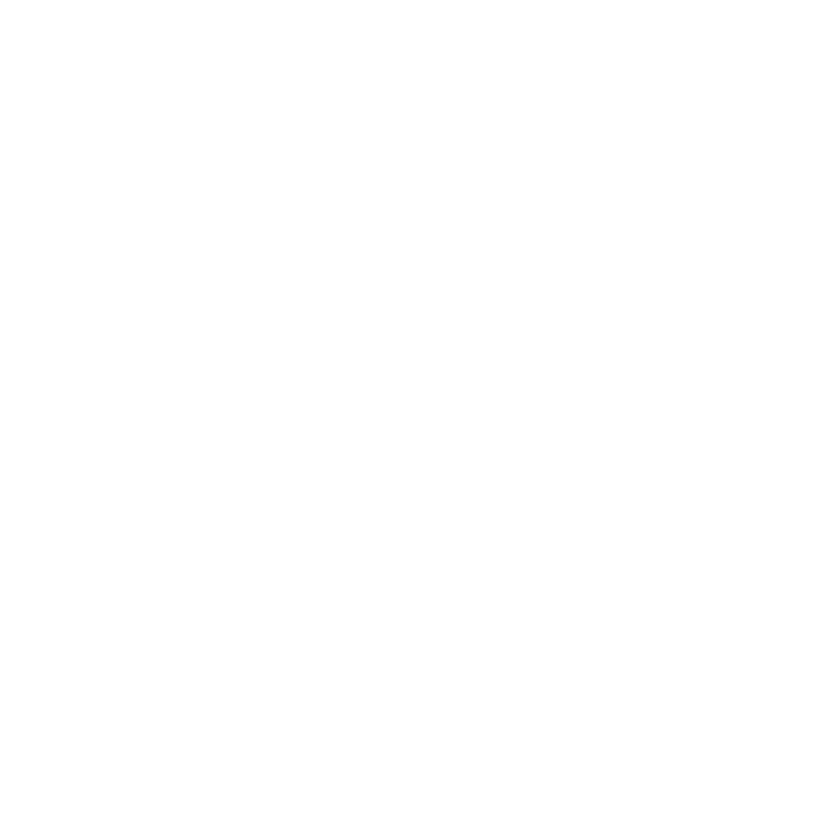 SDR Infraservice Logo weiß